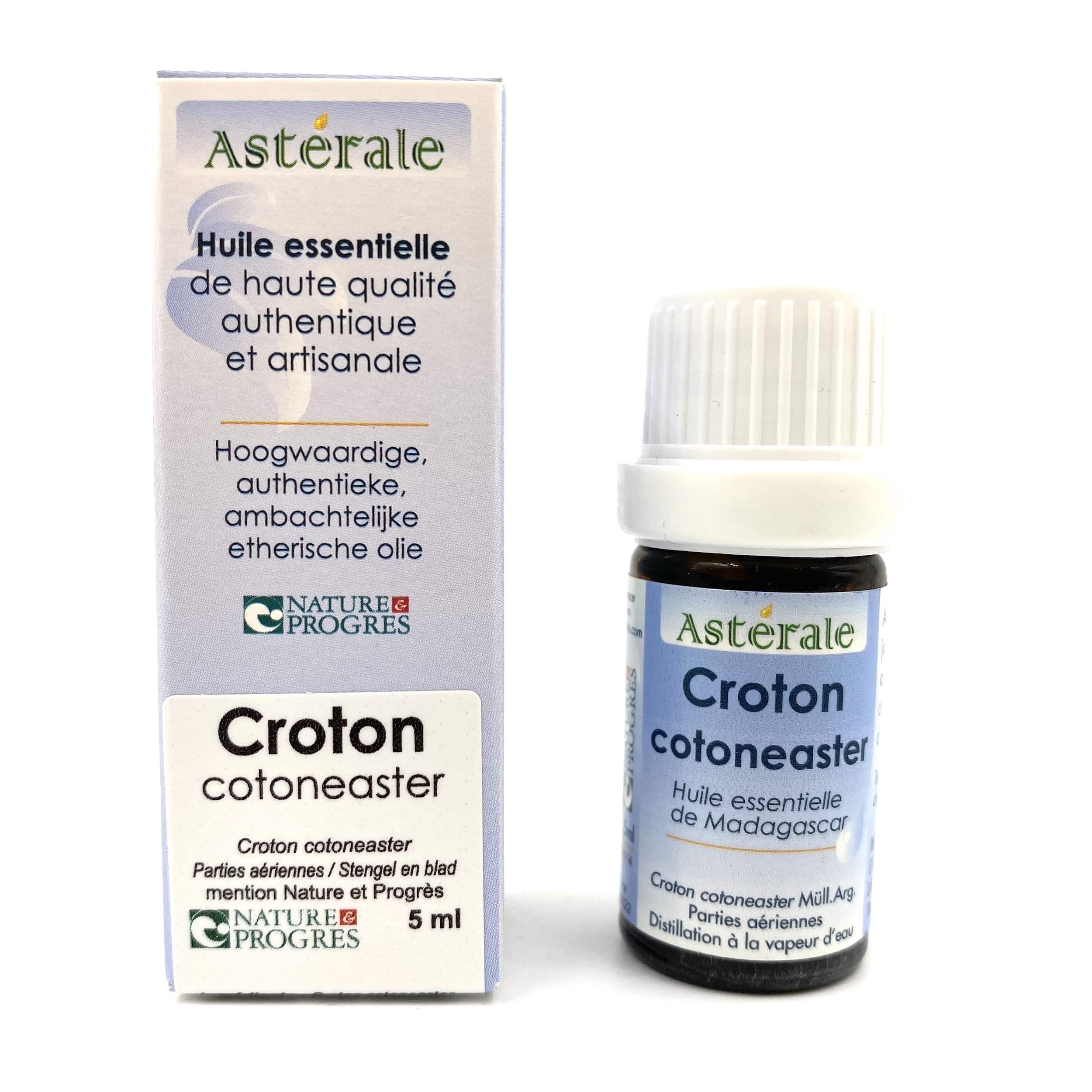 Huile Essentielle de Croton cotoneaster Astérale