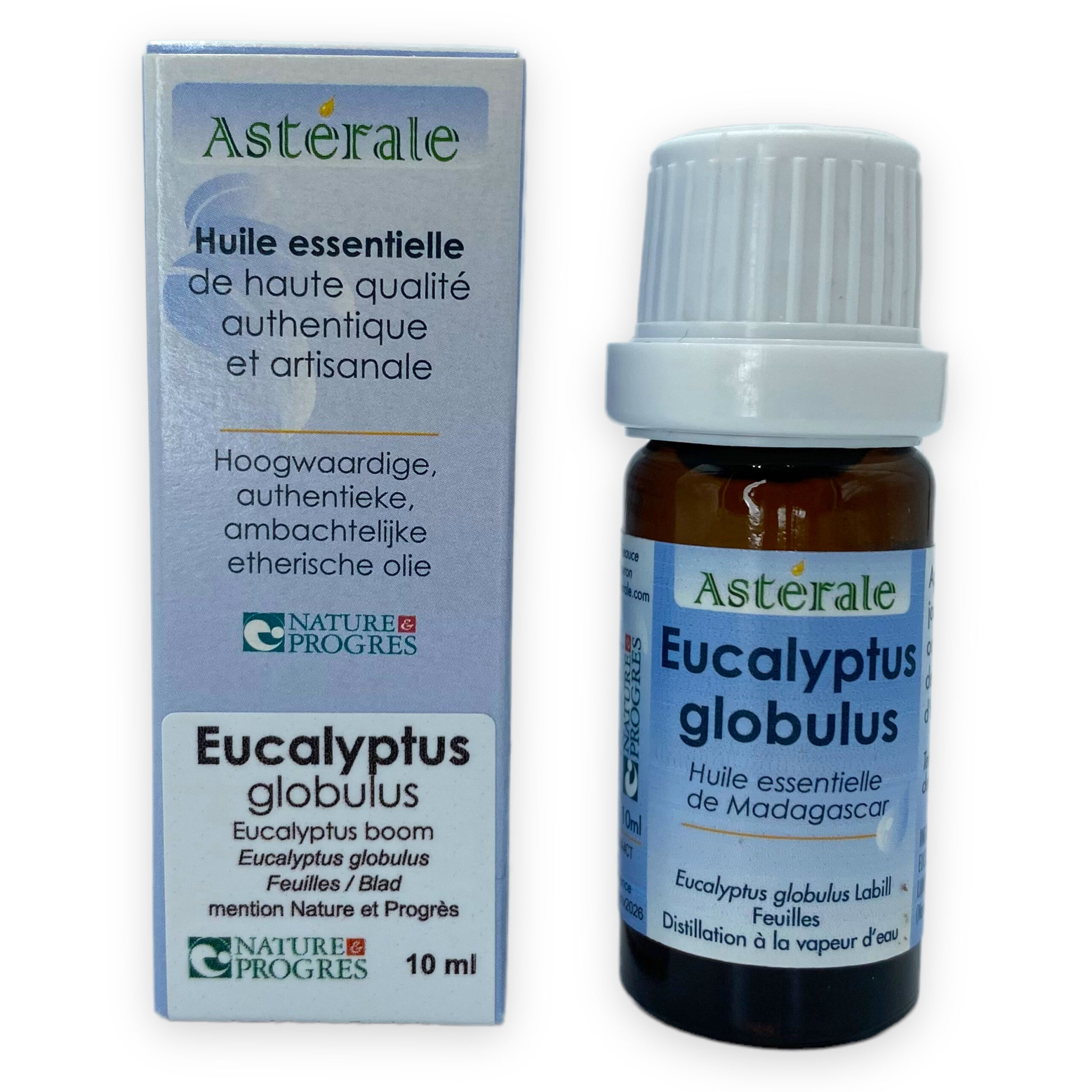 Huile Essentielle d'Eucalyptus globulus Astérale