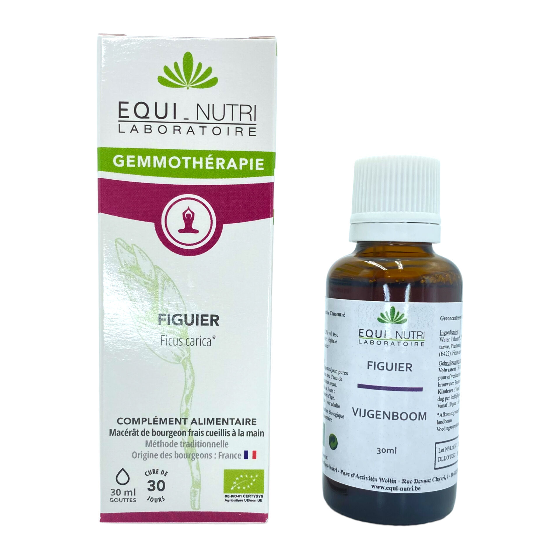 Bourgeon de figuier - Bio